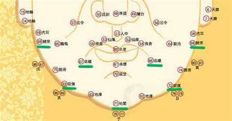 地閣潤意思|詳解「地閣」面相，地閣方圓就一定是吉相嗎？